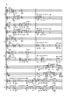 Og Solen Gar Ned (Bent Sorensen) 