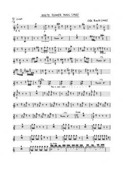 White Flower Songs (Ole Buck) 