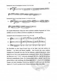 Antonio Salieri (Timo Jouko Herrmann) 