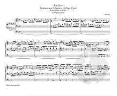 Sämtliche Orgelwerke 8 von Johann Sebastian Bach im Alle Noten Shop kaufen