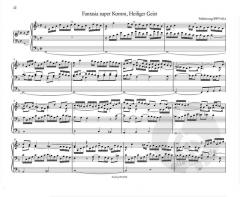 Sämtliche Orgelwerke 8 von Johann Sebastian Bach im Alle Noten Shop kaufen