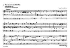 Arp Schnitgers Erben 