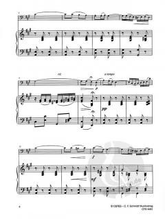 Serenade Nr. 1 A-Dur von Franz Drdla 