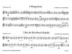 Weisen aus den Bergen 5 von Michael Ausserladscheider für 2 Flügelhörner/Tenorhörner im Alle Noten Shop kaufen