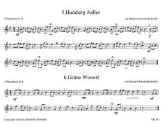 Weisen aus den Bergen 5 von Michael Ausserladscheider für 2 Flügelhörner/Tenorhörner im Alle Noten Shop kaufen