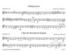Weisen aus den Bergen 5 von Michael Ausserladscheider für 2 Flügelhörner/Tenorhörner im Alle Noten Shop kaufen