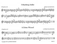 Weisen aus den Bergen 5 von Michael Ausserladscheider für 2 Flügelhörner/Tenorhörner im Alle Noten Shop kaufen