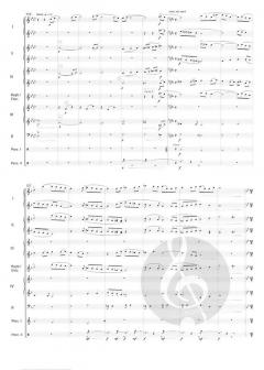 Pirates of the Caribbean von Klaus Badelt 