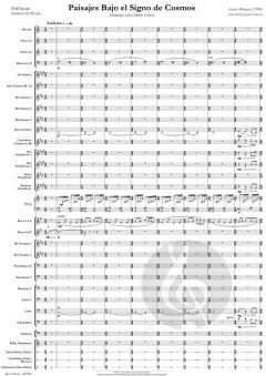 Paisajes Bajo el Signo de Cosmos (Arturo Marquez) 