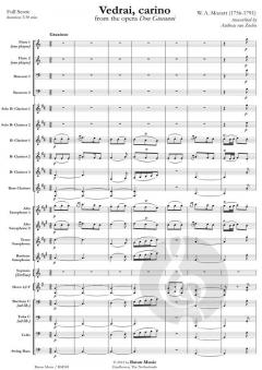 Vedrai, carino (W.A. Mozart) 