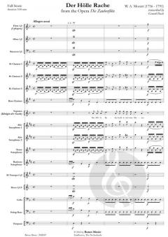 Der Hölle Rache (W.A. Mozart) 