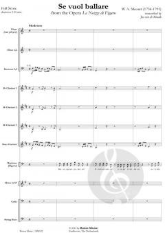 Se vuol ballare (W.A. Mozart) 