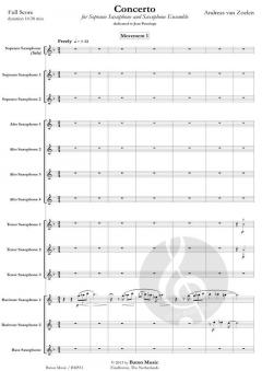 Concerto von Andreas van Zoelen 
