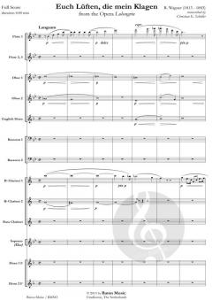 Euch Lüften, die mein Klagen (Richard Wagner) 