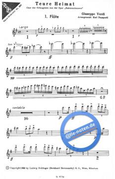 Chor der Gefangenen (Teure Heimat) von Giuseppe Verdi 