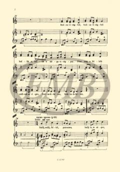 Bodzavirág (Arpad Balazs) 