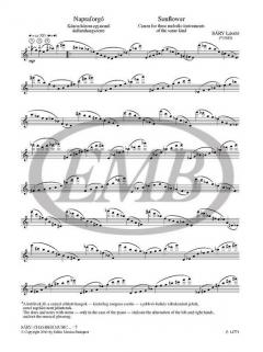 Chamber Music For Optional Ensembles 