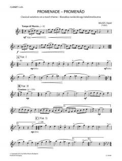 Promenade von Arpad Balazs 