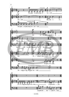 Kárpátokon Innen És Túl (Sándor Veress) 