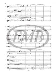 Poly For Chamber Ensemble (Balazs Horvath) 