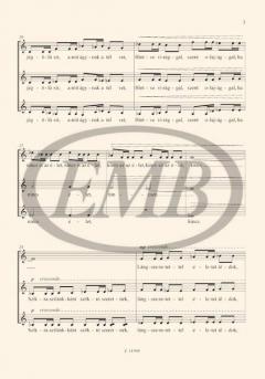 Lángok von Peter Toth 