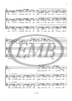 Lángok von Peter Toth 