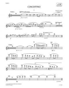 Concertino von Arpad Balazs 