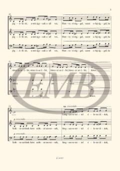 Lángok (Peter Toth) 