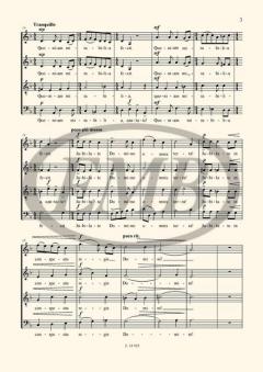 Cantate Domino (Aurél Tillai) 