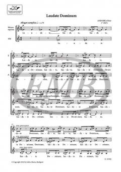 Laudate Dominum (Péter Andorka) 
