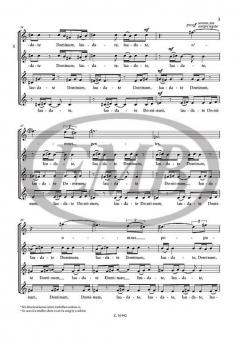 Laudate Dominum (Péter Andorka) 