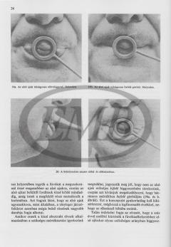 The Art Of Brass Playing 