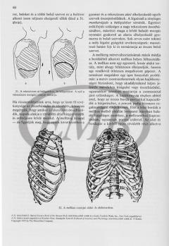 The Art Of Brass Playing 