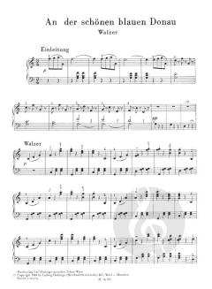 Meistermelodien Band 12 von Johann Strauss (Sohn) 