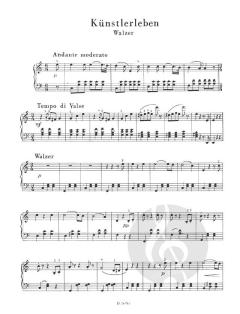 Meistermelodien Band 12 von Johann Strauss (Sohn) 