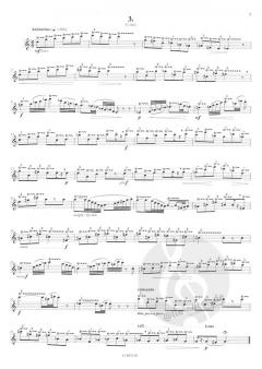 Insectes von Jean-Michel Damase 