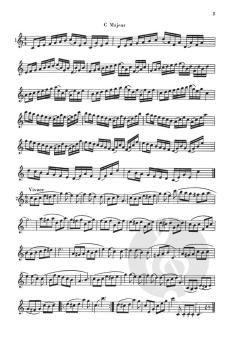 Divertimento von Jan van Beekum 