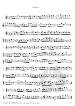 Con moto von Jan van Beekum 