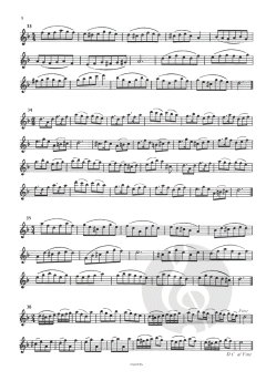 Animato von Jan van Beekum 