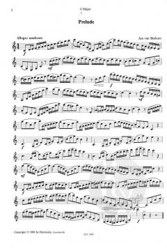 Upscale, Downscale von Jan van Beekum 