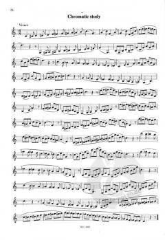 Upscale, Downscale von Jan van Beekum 