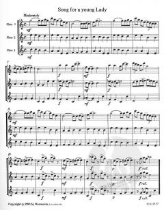 Jazzy Flutes von Hans Keuning 