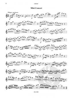 Fabulous Flutes von Jan van Beekum 