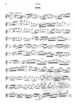 Fabulous Flutes von Jan van Beekum 