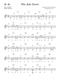 First Lessons Hammered Dulcimer von Linda Thomas 