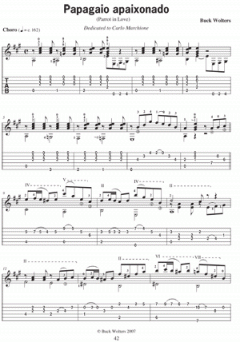 Popular Guitar Styles - Samba & Bossa Nova von Burkhard Wolters 