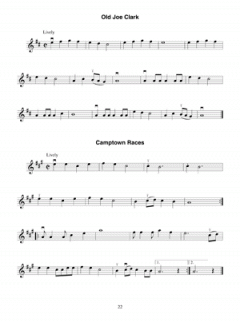 Fiddling Made Easy von Jerry Silverman 