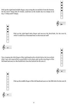 Understanding the Tin Whistle 