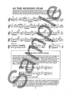 Complete Irish Fiddle Player von Pete Cooper 