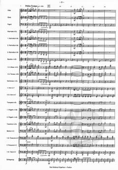 Das Goldene Flügelhorn (Fegerländer) 